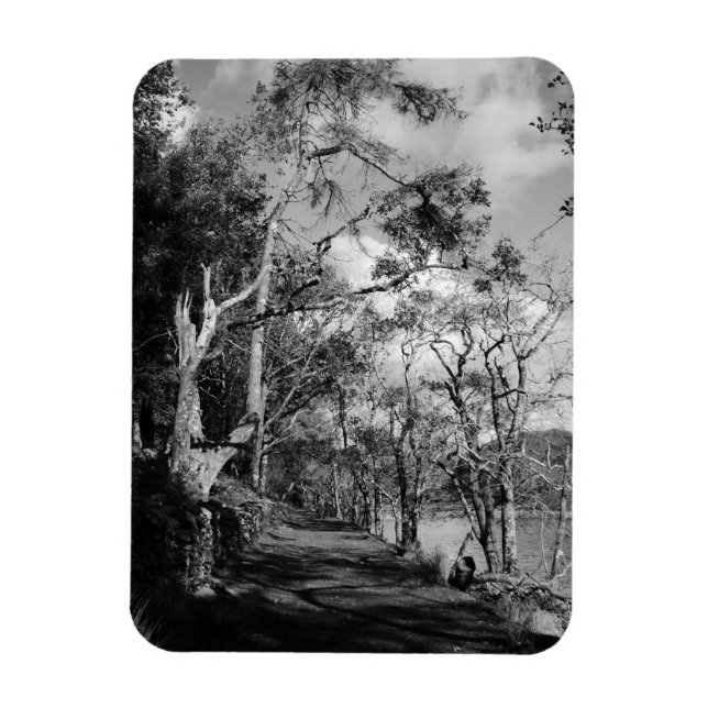 ÍMAN  ÁRVORES (Vertical)