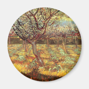 Íman Árvores Apricot em Blossom, Vincent van Gogh. Vint