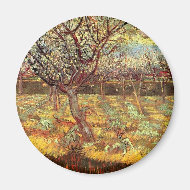 Íman Árvores Apricot em Blossom, Vincent van Gogh. Vint (Frente)