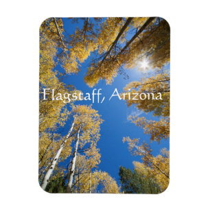 Íman Árvores aspálticas, Arizona