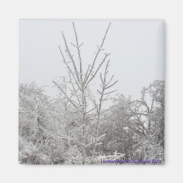 Íman Árvores cobertas por neve e gelo #1 ímã