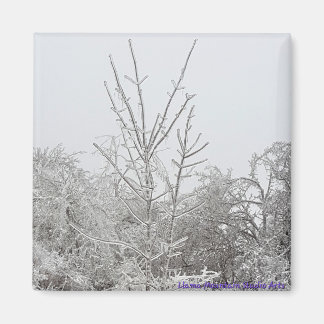 Íman Árvores cobertas por neve e gelo #1 ímã