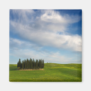 Íman Árvores de Cypress no ímã de Toscânia