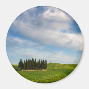 Íman Árvores de Cypress no ímã redondo de Toscânia