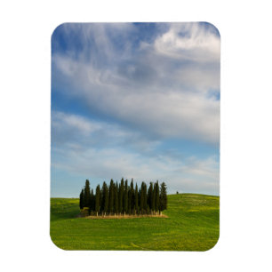 Íman Árvores de Cypress no ímã vertical de Toscânia