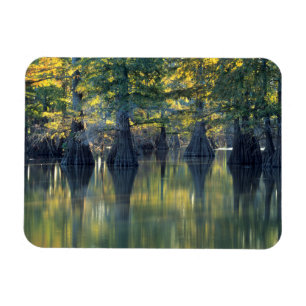Íman Árvores de Imprensa Cálidas Lago de ferradura, I