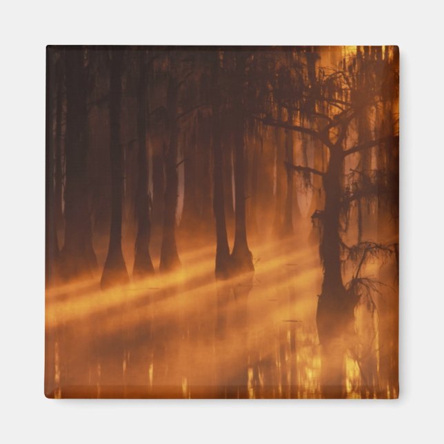 Íman Árvores de Impressão | Parque Estadual George Smit (Frente)