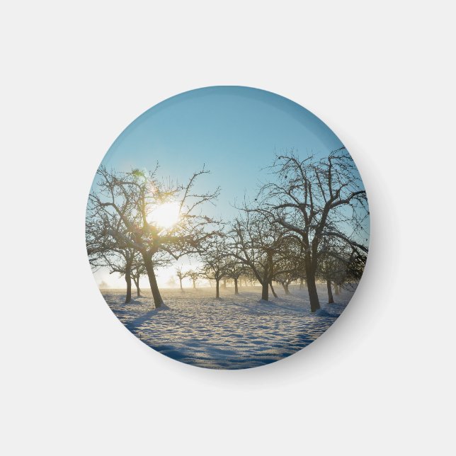 Íman Árvores de inverno ao nascer do sol (Frente)