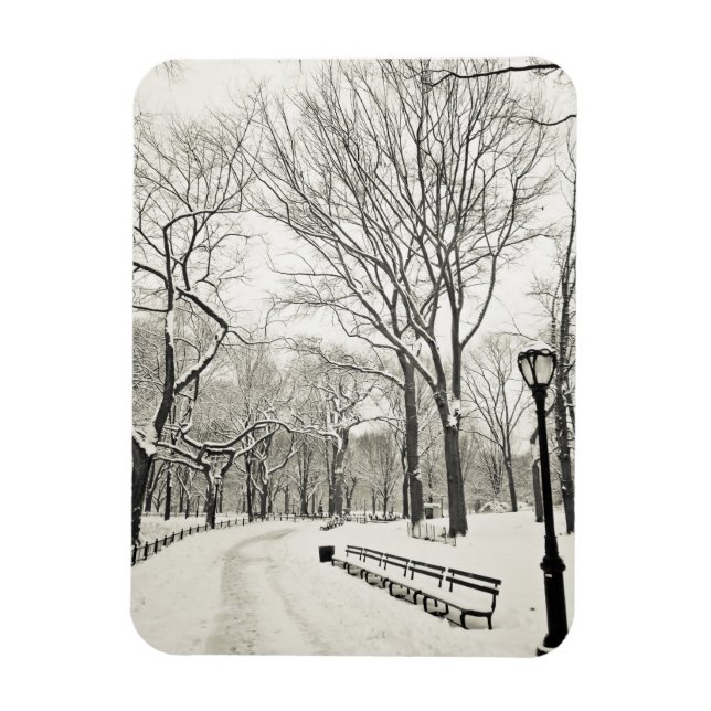 Íman Árvores de inverno cobertas em neve (Vertical)