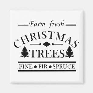 Íman Árvores de Natal de Pinheiro Frescas da Fazenda Mo
