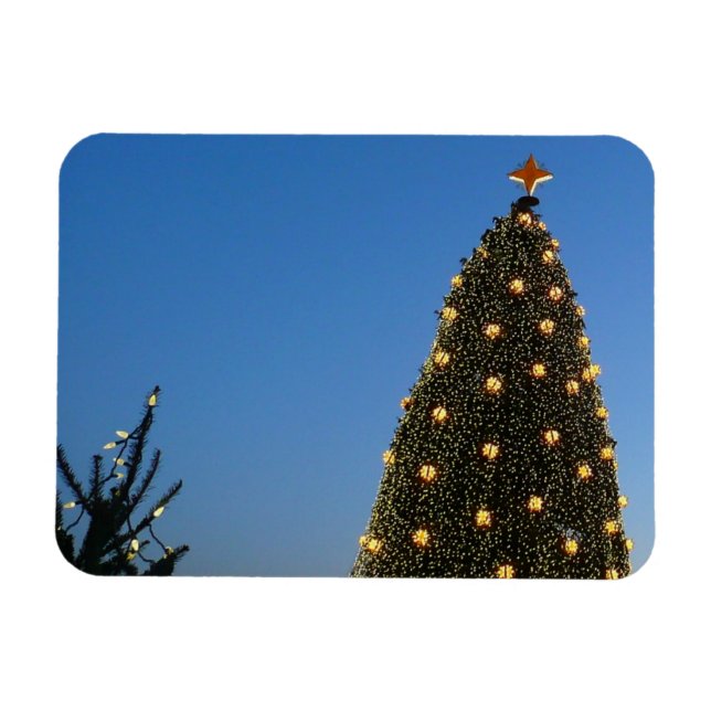Íman Árvores de Natal Grandes e Pequenas I (Horizontal)