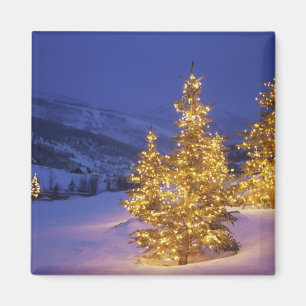 Íman Árvores de Natal, Park City, montanhas de Wastch,