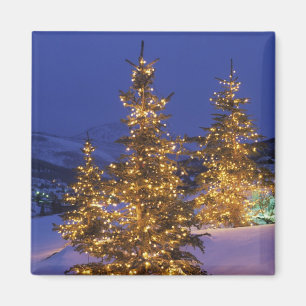 Íman Árvores de Natal, Park City, montanhas de Wastch,