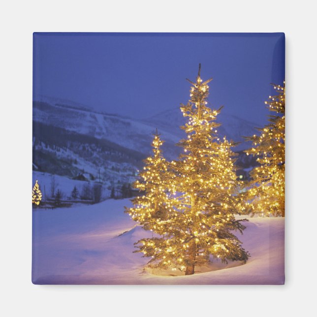 Íman árvores de Natal, Park City, Wastch Mountains, (Frente)