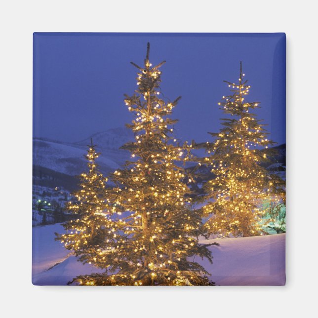 Íman árvores de Natal, Park City, Wastch Mountains, 2 (Frente)