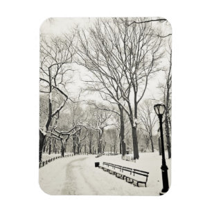Íman Árvores do inverno cobertas na neve
