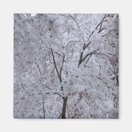 Íman Árvores em Carga de Neve