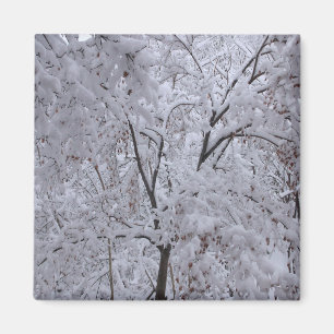 Íman Árvores em Carga de Neve