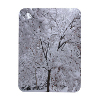 Íman Árvores em Carga de Neve