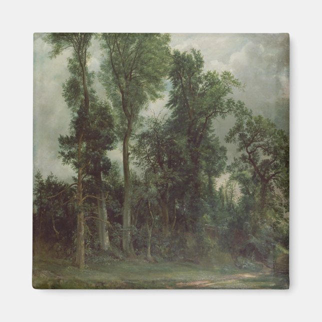 Íman Árvores em Hampstead (Frente)