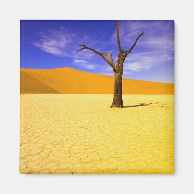 Íman Árvores esqueleto em Dead Vlei Sossusvlei, (Frente)