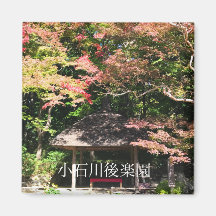 Árvores Mapeadas Coloridas e Restauração da Casa