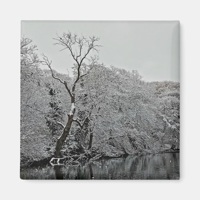 Íman Árvores, na água (Frente)