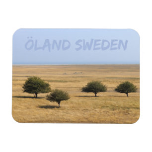 Íman Árvores na savana, Öland, Suecia