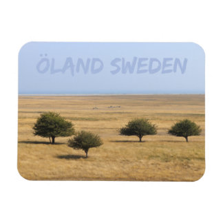 Íman Árvores na savana, Öland, Suecia