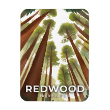 Árvores Redwood | Parque Nacional Aquarela Viagem