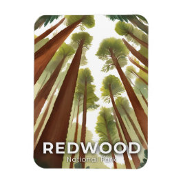 Íman Árvores Redwood | Parque Nacional Aquarela Viagem