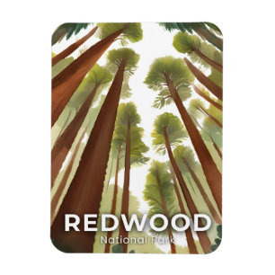 Íman Árvores Redwood Parque Nacional Aquarela Viagem