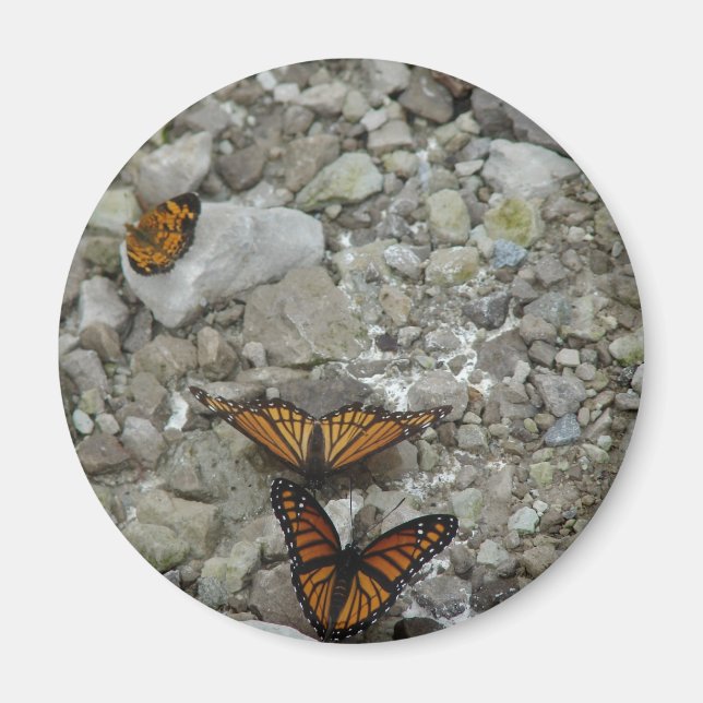 Íman As 3 Borboletas (Frente)