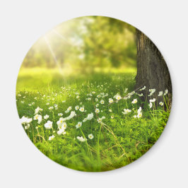 Íman As alegrias da Primavera