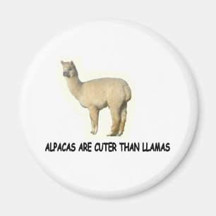 Íman As alpacas são mais bonitos do que lamas