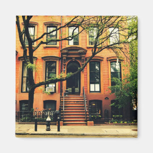 Íman As árvores crescem em Brooklyn