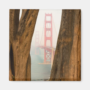 Íman As árvores de golden gate bridge   de negligencia