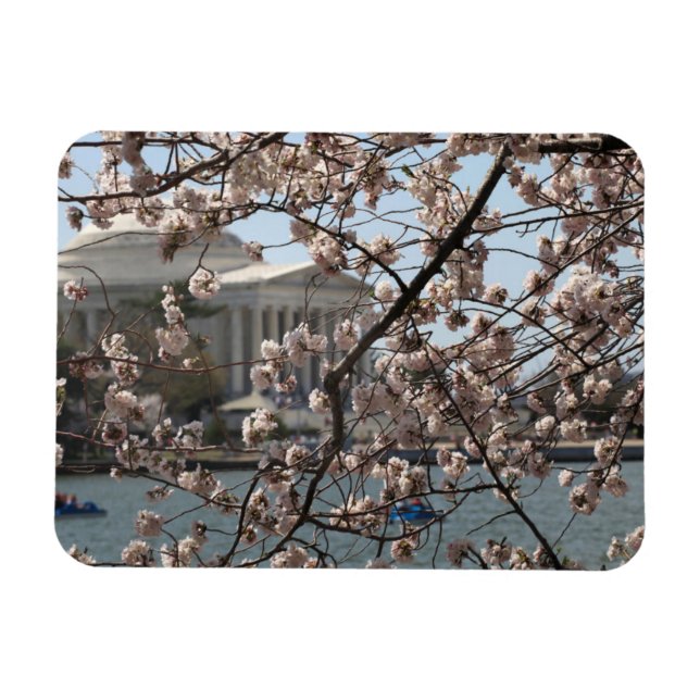 Íman As Cerejeiras em Flor em Washington DC (Horizontal)