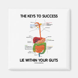 Íman As Chaves Para O Sucesso Deitam-Se Dentro Da Sua T