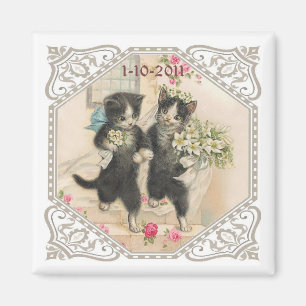 Íman As economias de um amante do gato o casamento da