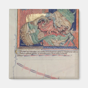 Íman As mandíbulas do inferno engolindo o dragão vermel