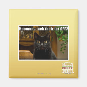 Íman As mulheres pegam pelo lá fora?