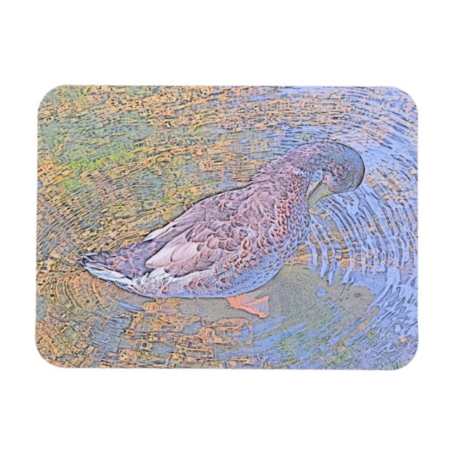 Íman As ondulações (Horizontal)