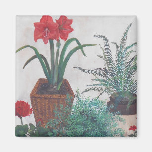 Íman As plantas da avó