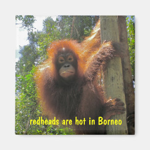 Íman As ruivas são um humor quente