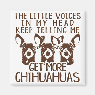 Íman As vozes de Littles obtêm mais chihuahuas