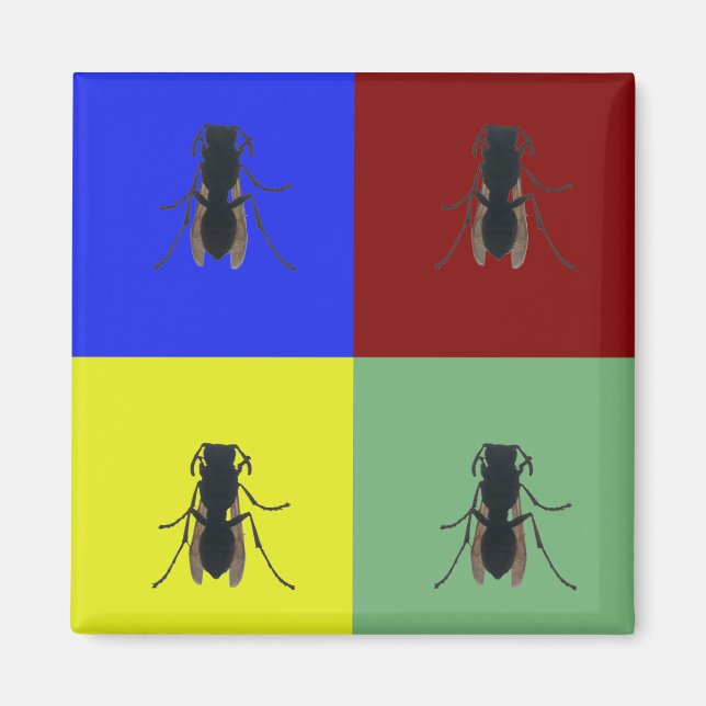 Íman Asas Primárias (Frente)