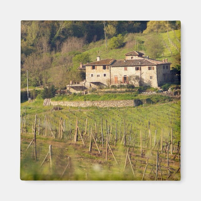 Íman Aschuito, uma fazenda em funcionamento que aceita  (Frente)