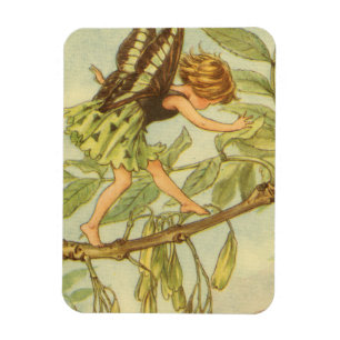 Íman Ash Tree Fairy Walking on Branch