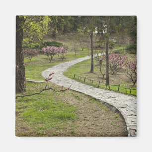 Íman Ásia, China, Pequim. Flores de primavera ao longo